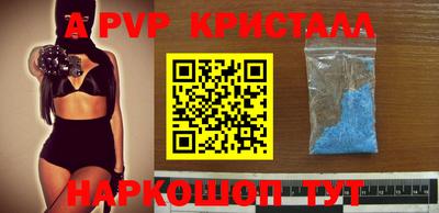 стаф Кунгур